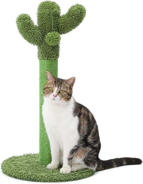Cat Scratching Post, 25.6" Cactus Cat Scratcher Kitten Scratch Post with Sisal Rope for Indoor Cats Claw Scratcher, Vertical Green Cat Tree with Dangling Ball for Kitties Medium